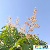 93imageIMG 20241230 110050.22222.jpg