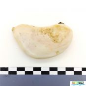 87imageIMG 20230821 144305(2).jpg