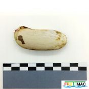 621imageIMG 20230818 115551.jpg