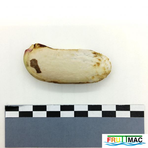 Archivo:621imageIMG 20230818 115551.jpg