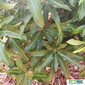 626imageIMG 20240716 114931(1).jpg