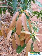 625imageIMG 20240605 112424.jpg