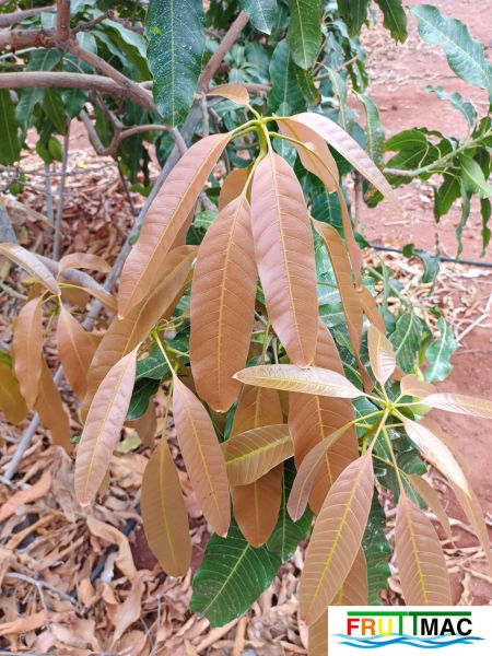 Archivo:625imageIMG 20240605 112424.jpg