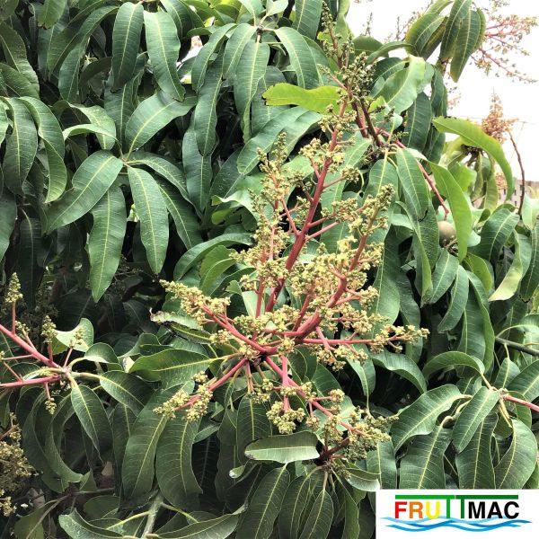 Archivo:628imageIMG 3930 (2).JPG