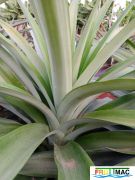 149imageIMG 20231129 092850(1).jpg