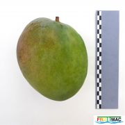 624imageP1250106 (2).JPG