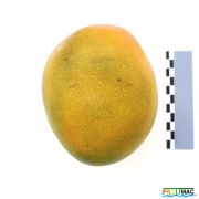 87imageIMG 1822 (2).JPG