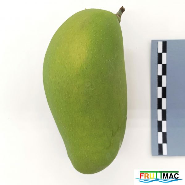 Archivo:625imageIMG 20230803 143037 (2).jpg