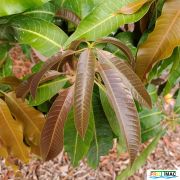 622imageIMG 20230704 083139 (2).jpg