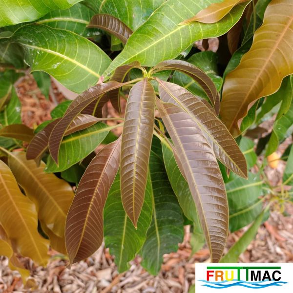 Archivo:622imageIMG 20230704 083139 (2).jpg