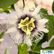 895imageIMG 20240819 164132.jpg