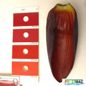 202imageIMG 1495.111.JPG