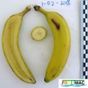 460imageIMG 2146.111.JPG