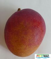 89imageP1010364.jpg