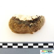 79imageIMG 20220921 095212.jpg