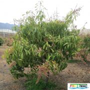 88imageIMG 19700105 150117nuevo.jpg