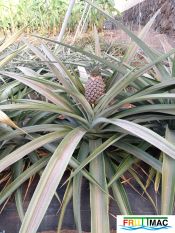 896imageIMG 20231228 100155.jpg