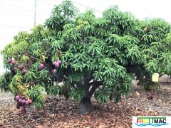 440imageIMG 4967 (3).jpg