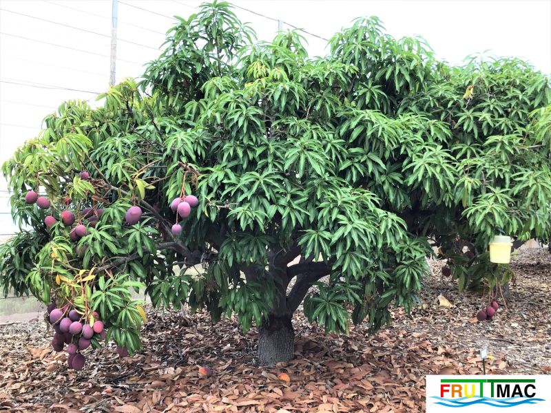 Archivo:440imageIMG 4967 (3).jpg