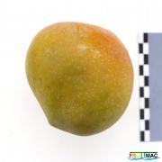 56imageIMG 3770.1.JPG
