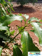 625imageIMG 20240716 114651(1).jpg