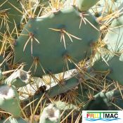 485imageIMG 20241218 124551.1.jpg