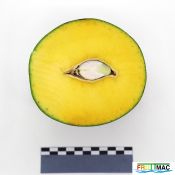 88imageIMG 4334.JPG