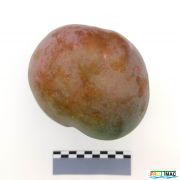 101imageIMG 20230831 130508.jpg