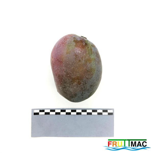 Archivo:112imageIMG 20230718 155405 (2).jpg