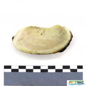71imageIMG 8357.1.JPG