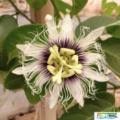 895imageIMG 20240819 164139.jpg