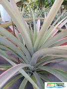 936imageIMG 20231129 092451.jpg