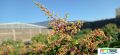 66imageIMG 20240403 094516.jpg