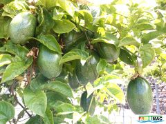 895imageIMG 20230613 133529.jpg