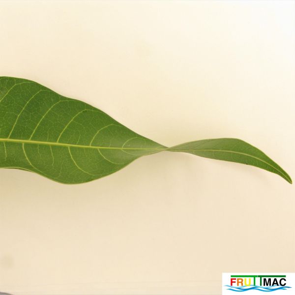 Archivo:105imageIMG 0510 (2).JPG