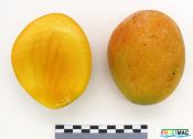 71imageIMG 8353.1.JPG