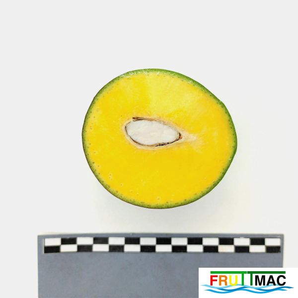 Archivo:105imageIMG 20230725 122623 (2)BD.jpg