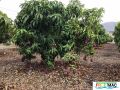 89imageIMG 5165.jpg