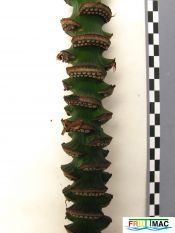 202imageIMG 1478.111.JPG