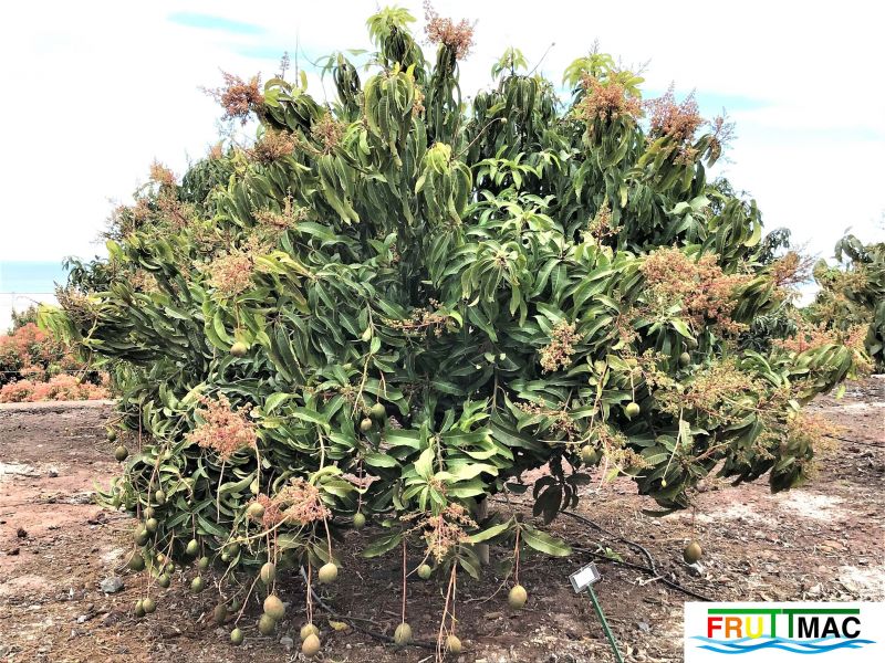 Archivo:628imageIMG 3942 (2).JPG