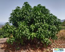631imageIMG 20240716 115731(1).jpg