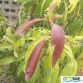 88imageIMG 19700105 153143.jpg