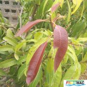 88imageIMG 19700105 153143.jpg