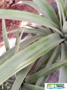 898imageIMG 20231108 112306.jpg