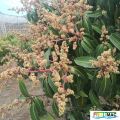 101imageIMG 19700105 153318.jpg