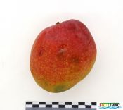 1051imageIMG 9094.JPG
