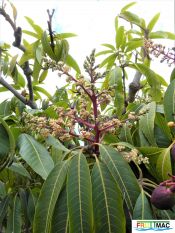 440imageP1230284 (2).jpg