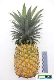 898imageIMG 5784.JPG