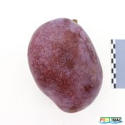 62imageIMG 3223.JPG