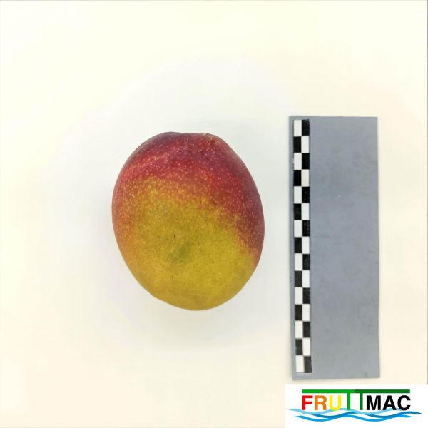 Archivo:105imageIMG 20230801 120315 (2).jpg